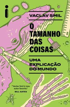 O TAMANHO DAS COISAS